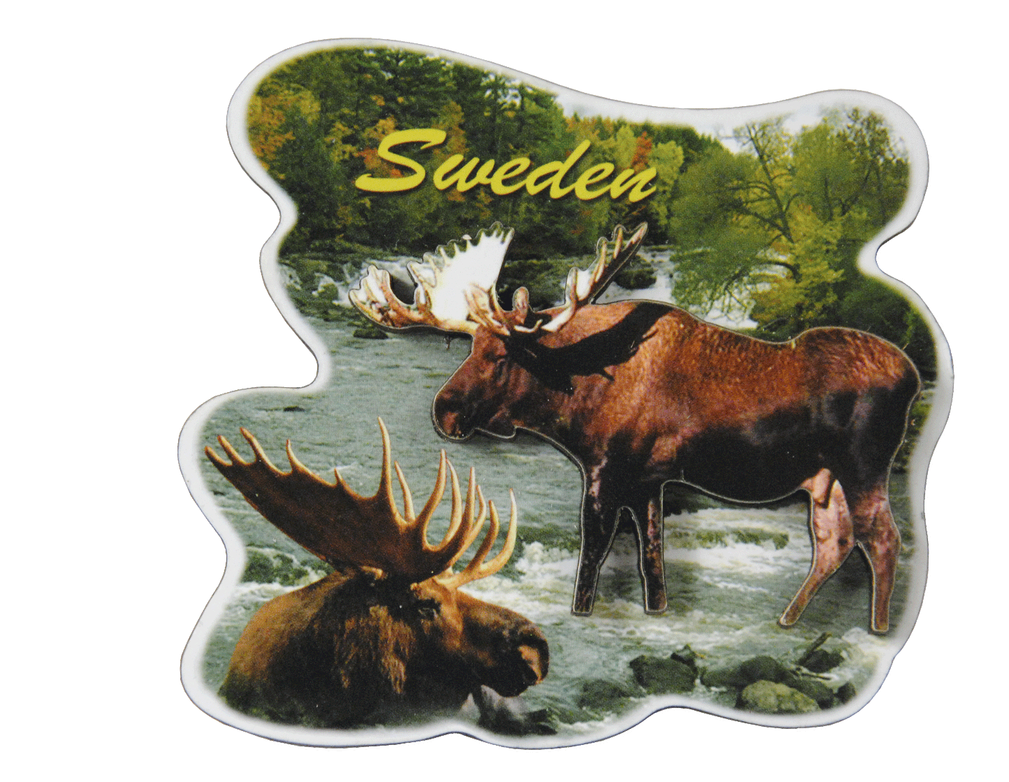 Magnet Moose 2D