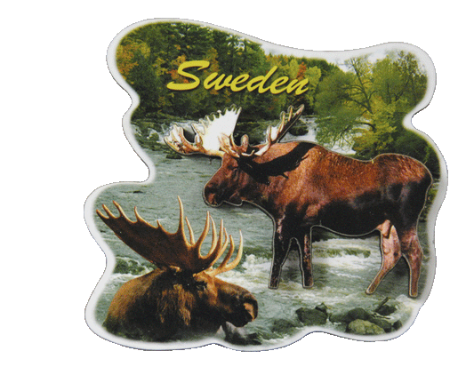 Magnet Sverige Älg Trä 2D