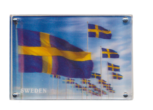 Magnet Svensk Flagga 3D