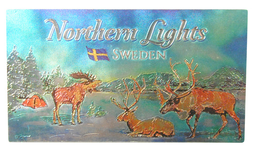 Magnet Sweden Northern Lights Dubbel