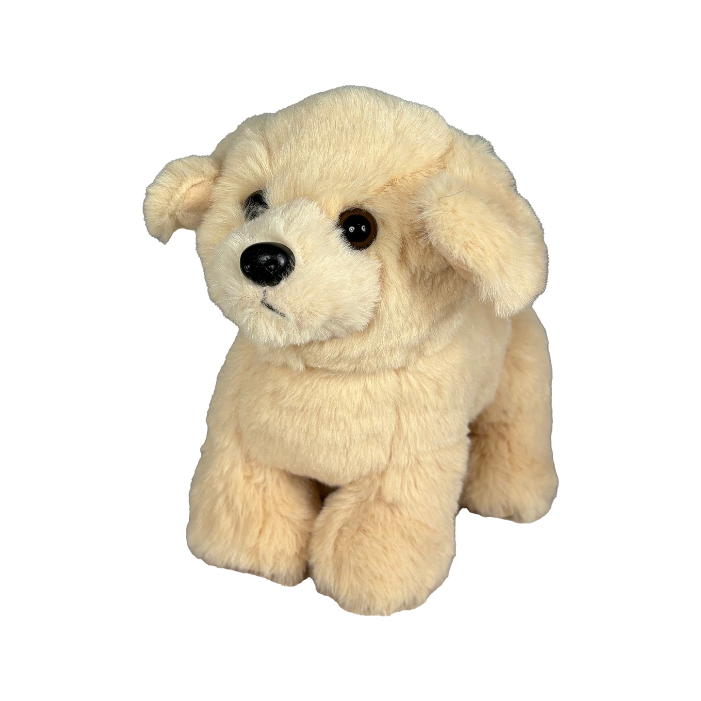 Beige gosedjurshund sedd snett framifrån.