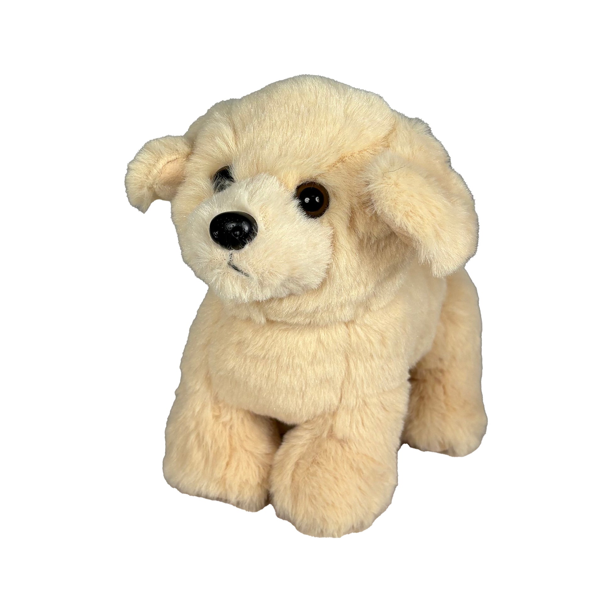 Beige gosedjurshund sedd snett framifrån.