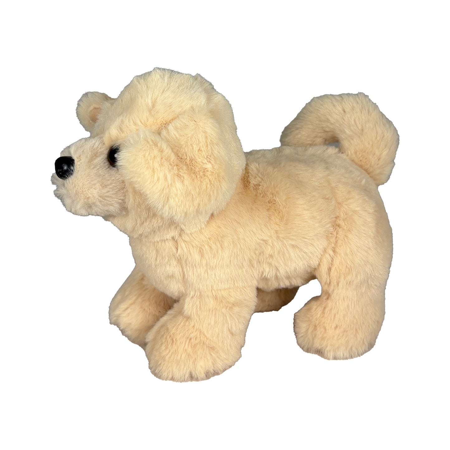 Beige Gosedjurshund sedd från sidan.