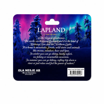 Baksidan av header med bakgrund av skog i norrsken och en text om Lapland.