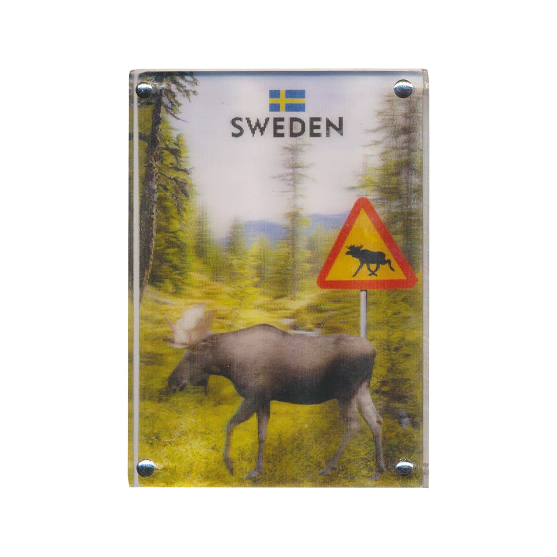 Souvenirmagnet med älg och varningsskylt i full 3D-effekt, tillsammans med en naturbild och texten "Sweden". En detaljrik och iögonfallande magnet.