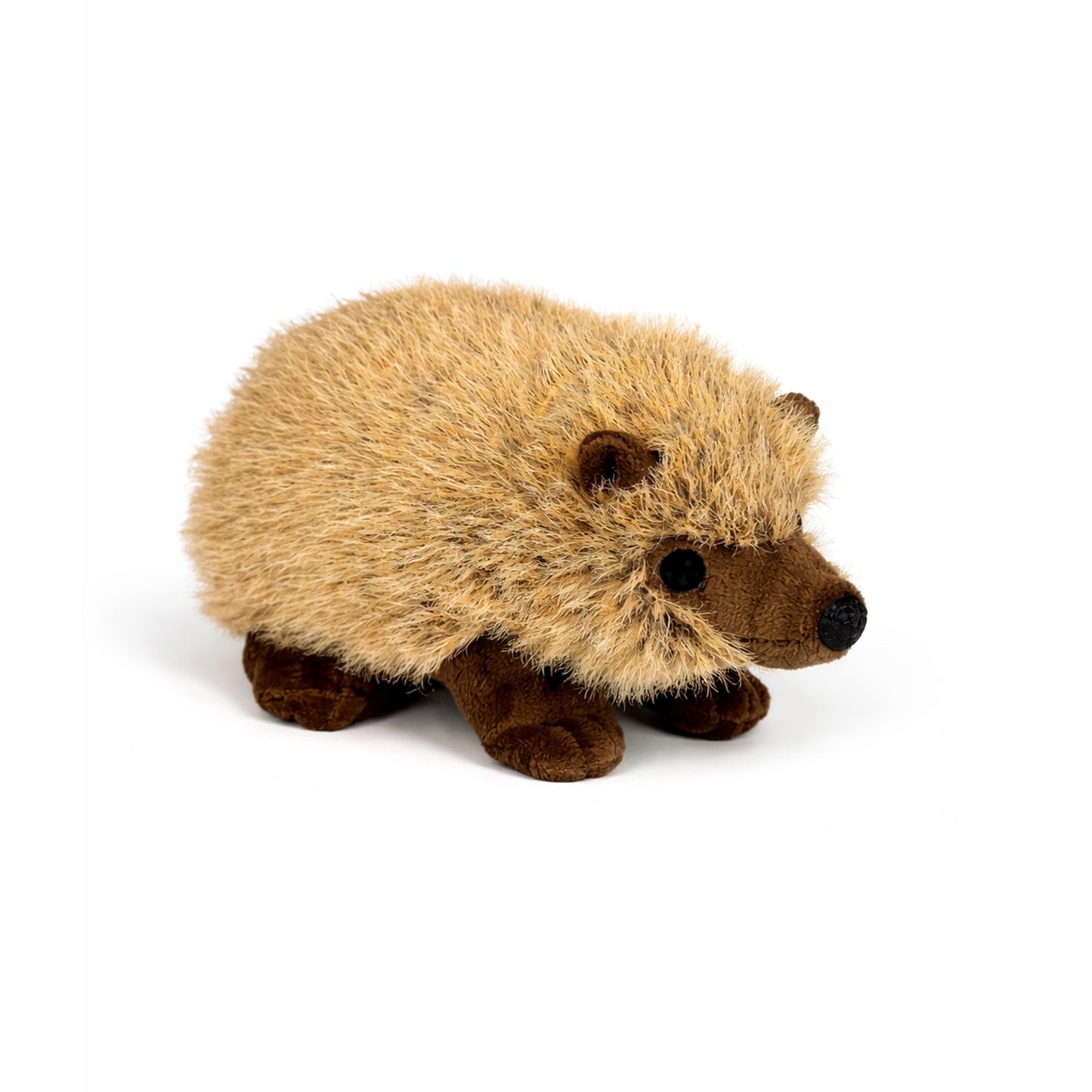 Gosedjurs igelkott med beige päls, bruna öron, nos och ben, sedd snett framifrån.