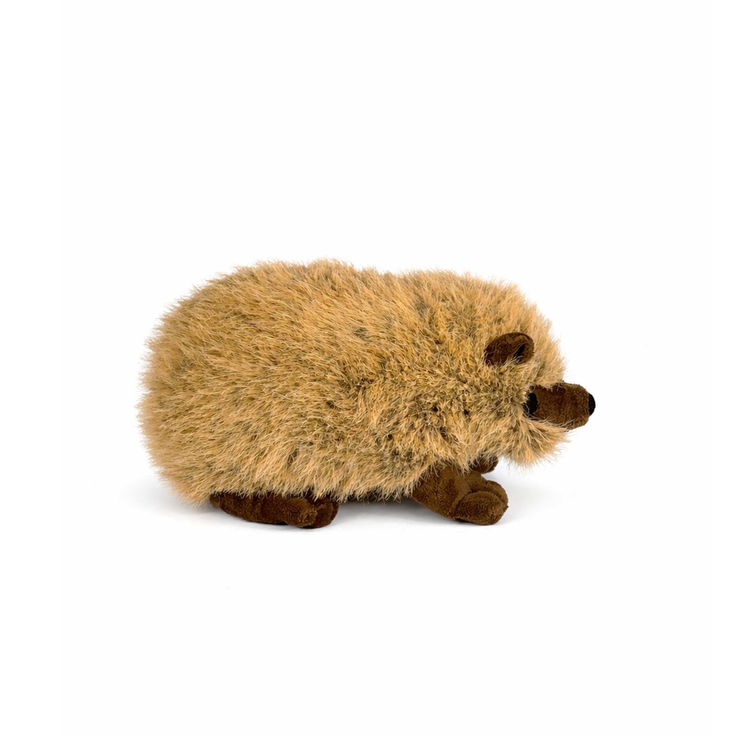 Gosedjurs igelkott med beige päls, bruna öron, nos och ben, sedd från sidan.