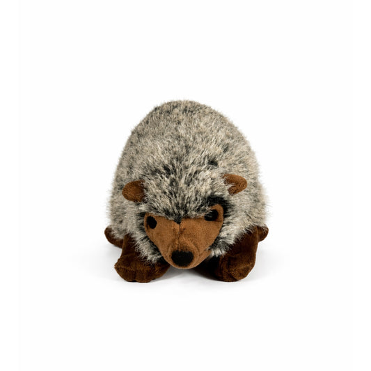 Gosedjurs igelkottar med grå päls, bruna öron, nos och ben, sedd framifrån.