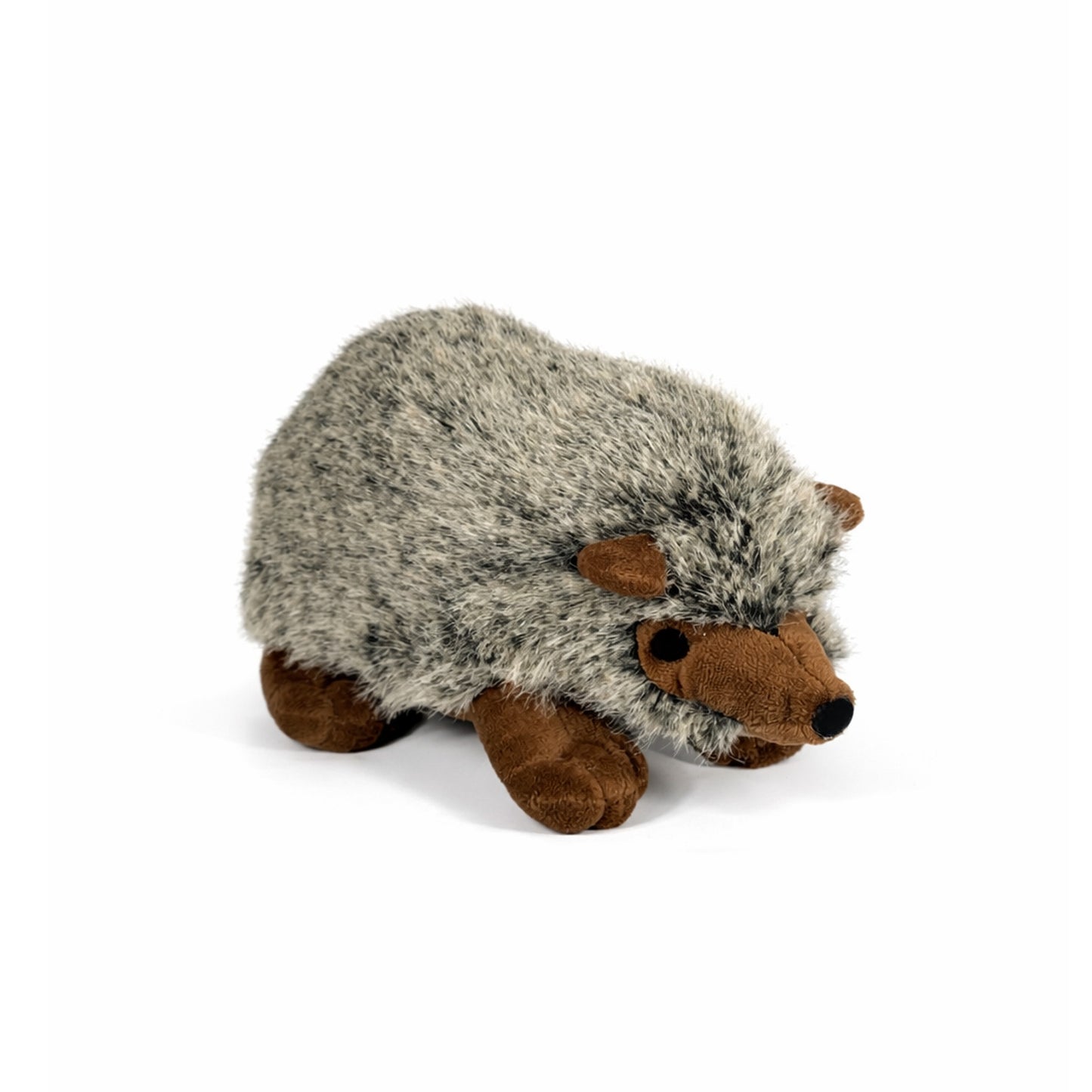 Gosedjurs igelkottar med grå päls, bruna öron, nos och ben, sedd snett framifrån.