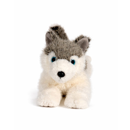 Grå/vit liggande gosedjurs husky med blåa ögon, sedd rakt framifrån.