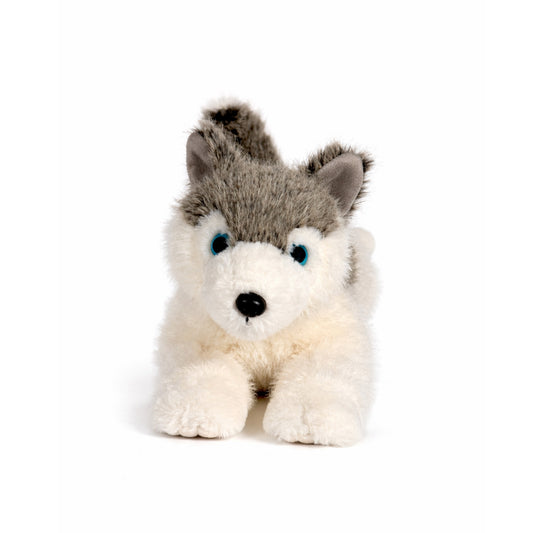 Grå/vit liggande gosedjurs husky med blåa ögon, sedd rakt framifrån.