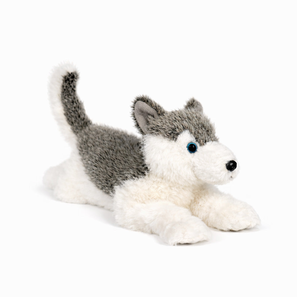 Grå/vit liggande gosedjurs husky med blåa ögon, sedd snett framifrån.