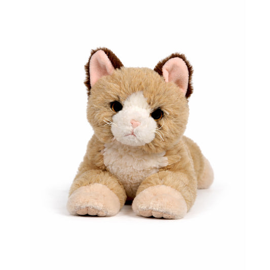 Beige liggande gosedjurs katt sedd framifrån.