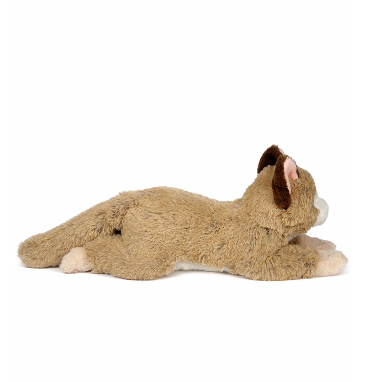 Beige liggande gosedjurs katt sedd från sidan.