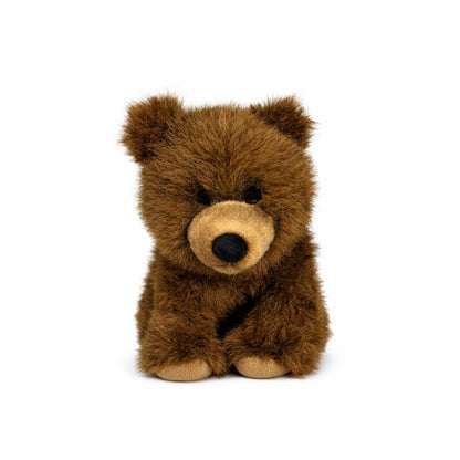 Brun gosedjurs björn sedd rakt framifrån.