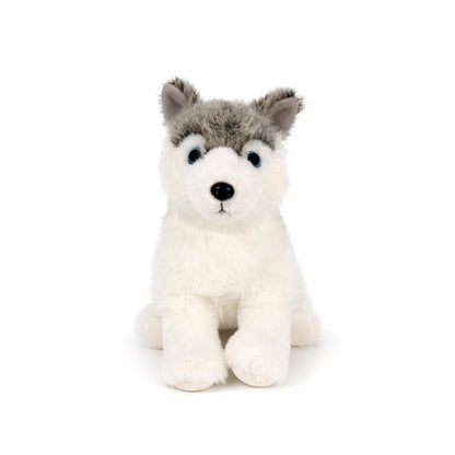 Stor grå gosedjurs husky sedd rakt framifrån.