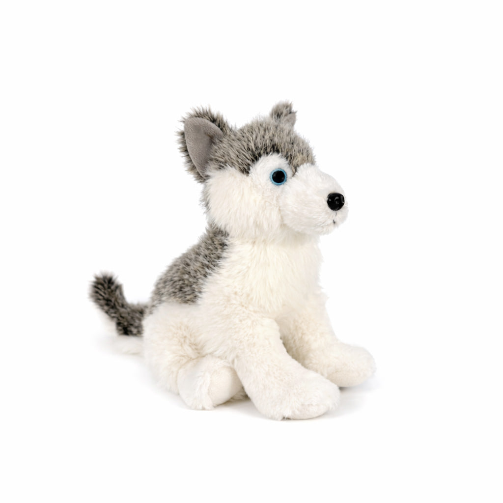 Stor grå gosedjurs husky sedd snett framifrån.