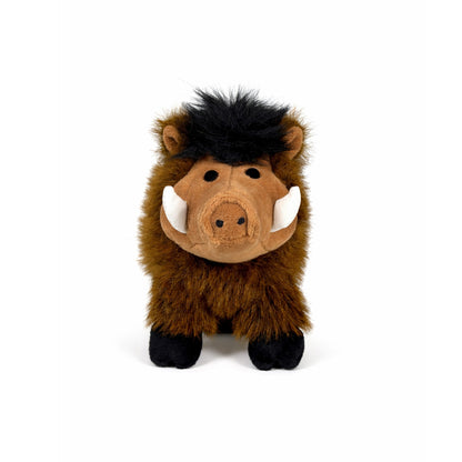 Gosedjurs vildsvin med brun päls, ljus mule, veta betar och svart hår, sedd framifrån.