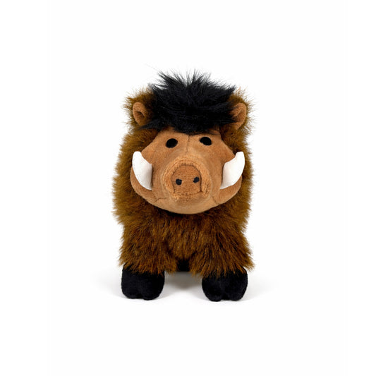 Gosedjurs vildsvin med brun päls, ljus mule, veta betar och svart hår, sedd framifrån.