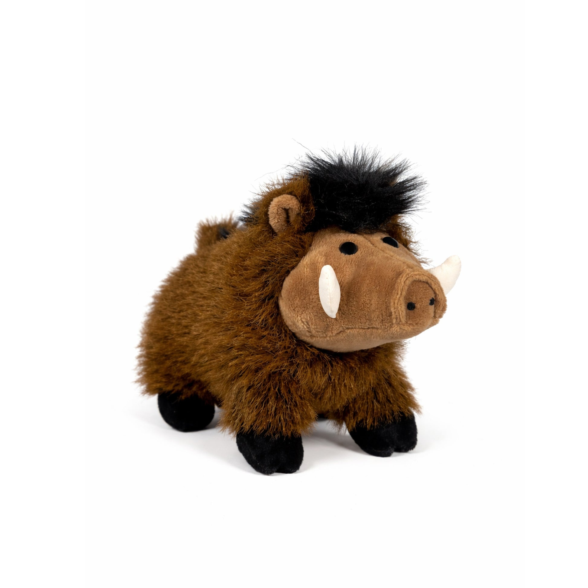 Gosedjurs vildsvin med brun päls, ljus mule, veta betar och svart hår, sedd snett framifrån.