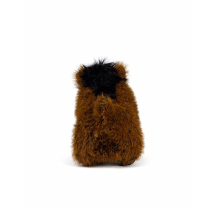 Gosedjurs vildsvin med brun päls, ljus mule, veta betar och svart hår, sedd bakifrån.